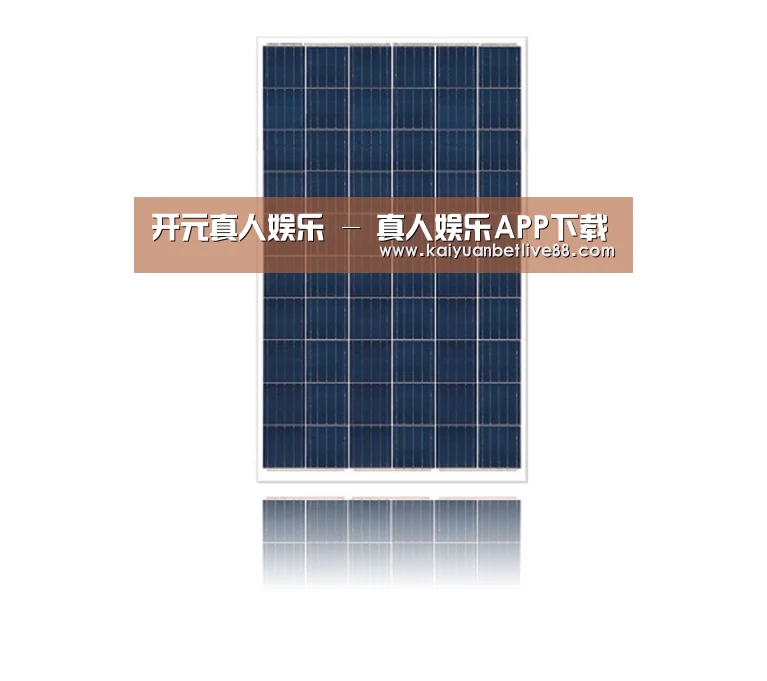 产品名称一