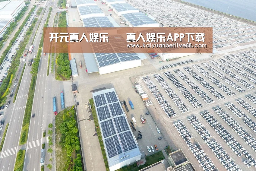 案例展示四