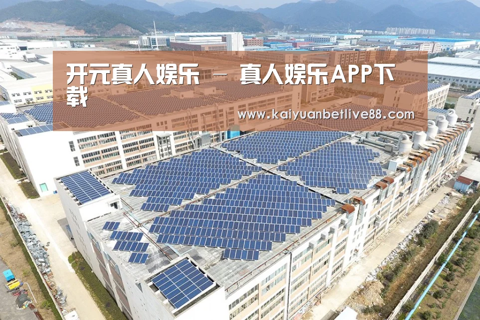 案例展示四