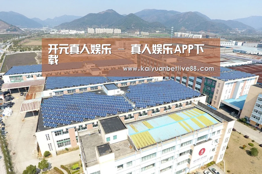 案例展示三