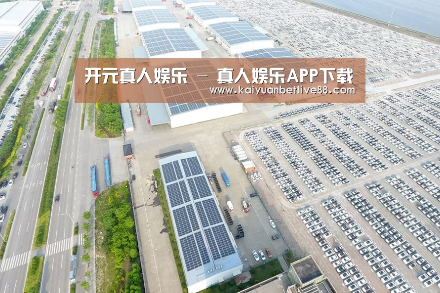 案例展示二